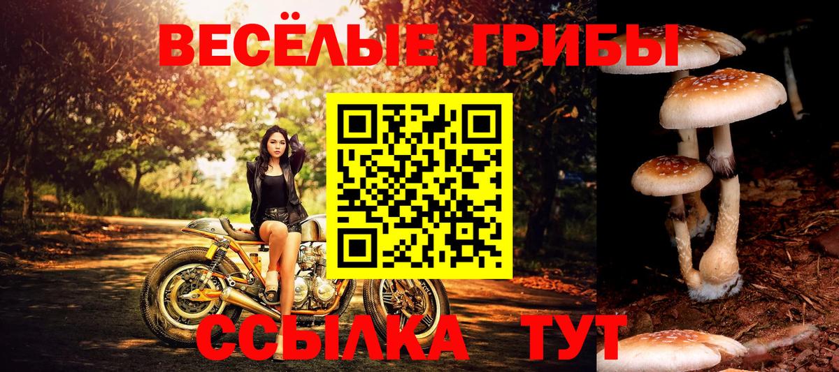 Реутов  Галлюциногенные грибы MAGIC MUSHROOMS  как найти закладки  Вход с VPN 